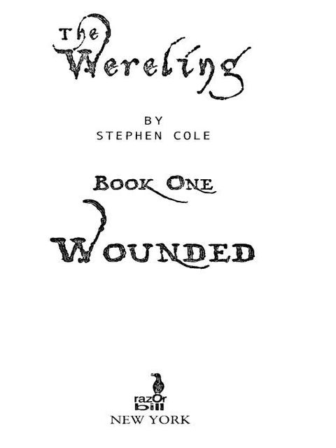 Cover image for book Wounded