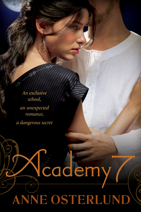 Cover image for book Academy 7