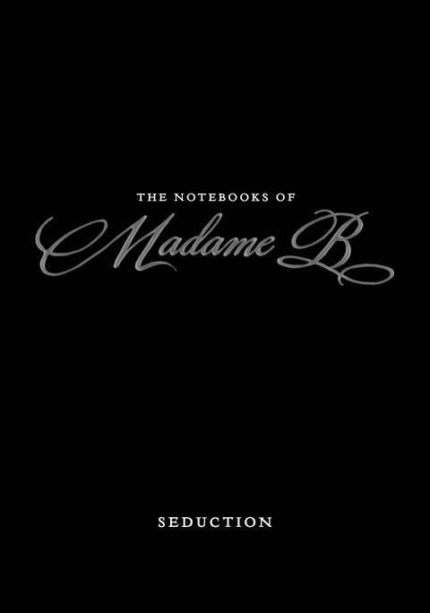 Cover image for book The Notebooks of Madame B: Seduction