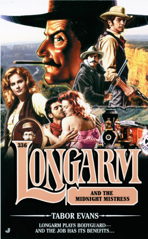 Cover image for book Longarm 336