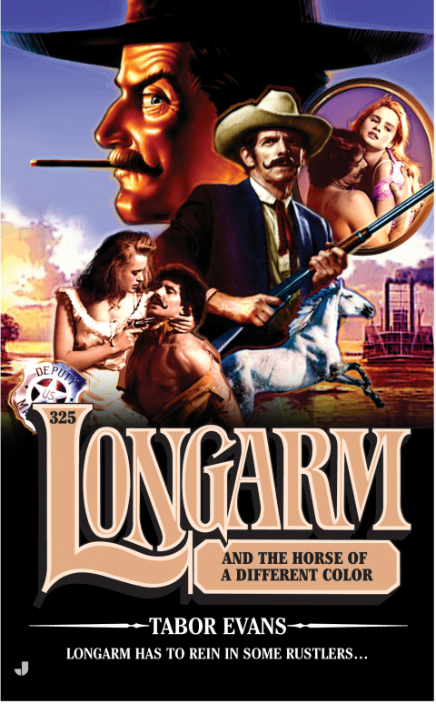 Cover image for book Longarm 325