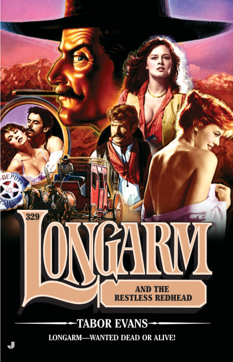 Cover image for book Longarm 329