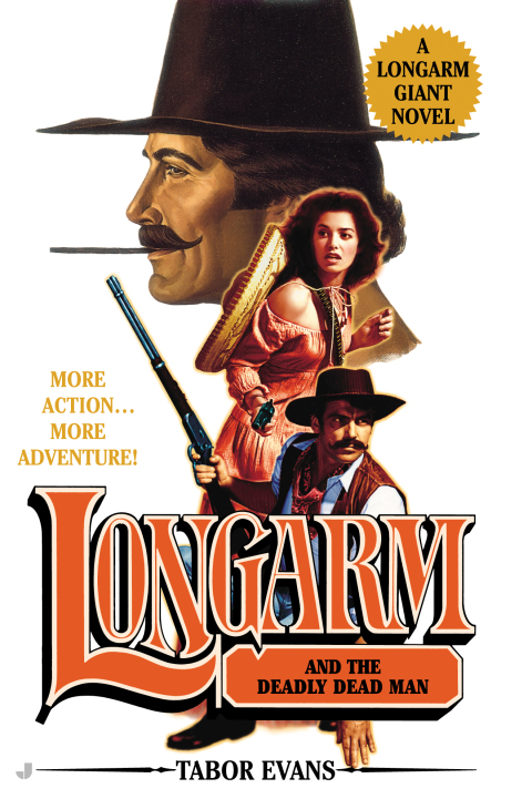 Cover image for book Longarm Giant #22