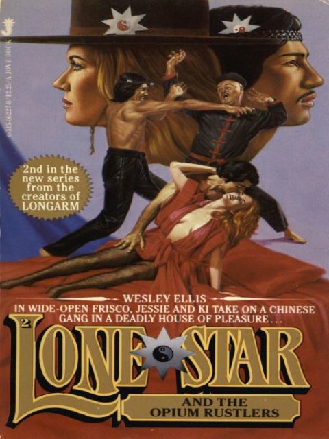 Cover image for book Lone Star 02