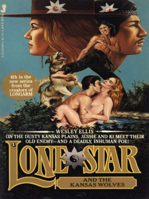 Cover image for book Lone Star 04