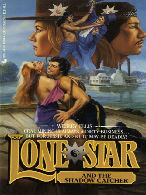 Cover image for book Lone Star 88