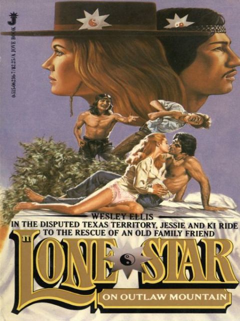Cover image for book Lone Star 11