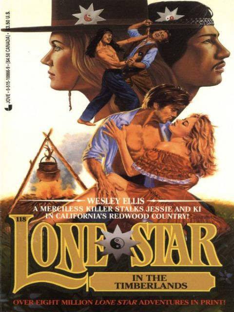 Cover image for book Lone Star 118/timberl