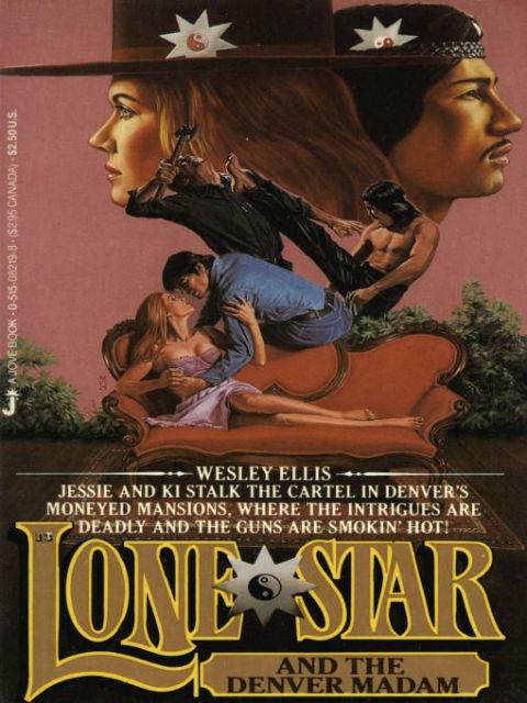 Cover image for book Lone Star 13