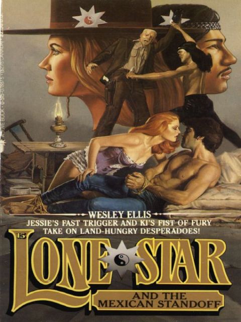 Cover image for book Lone Star 15