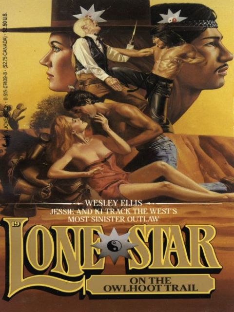 Cover image for book Lone Star 19