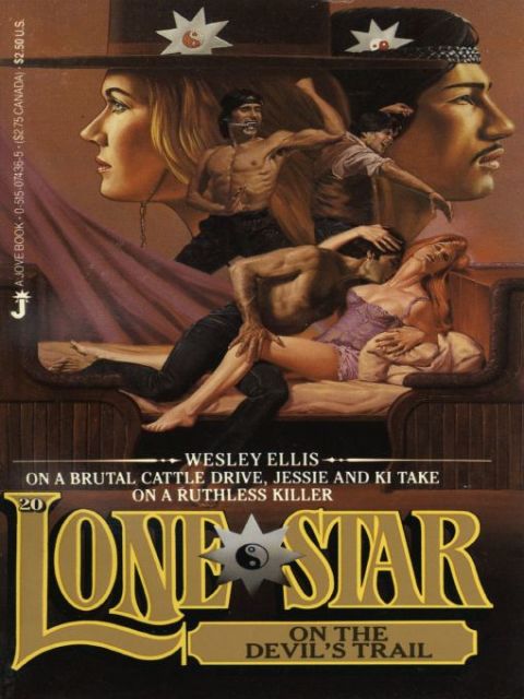 Cover image for book Lone Star 20