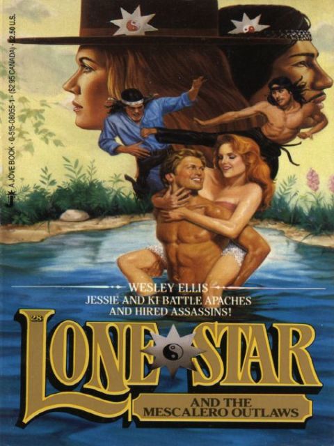 Cover image for book Lone Star 28
