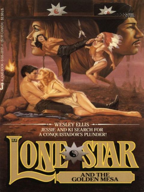 Cover image for book Lone Star 33