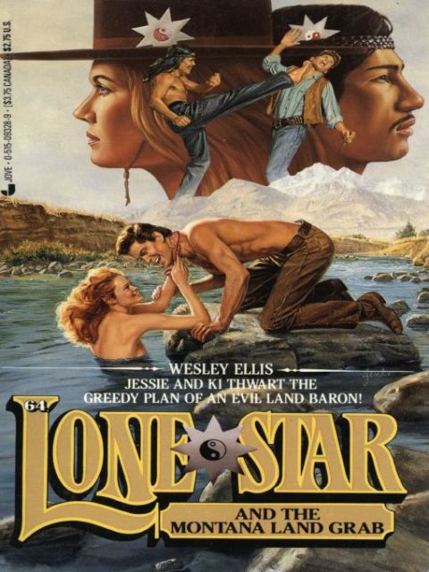Cover image for book Lone Star 64