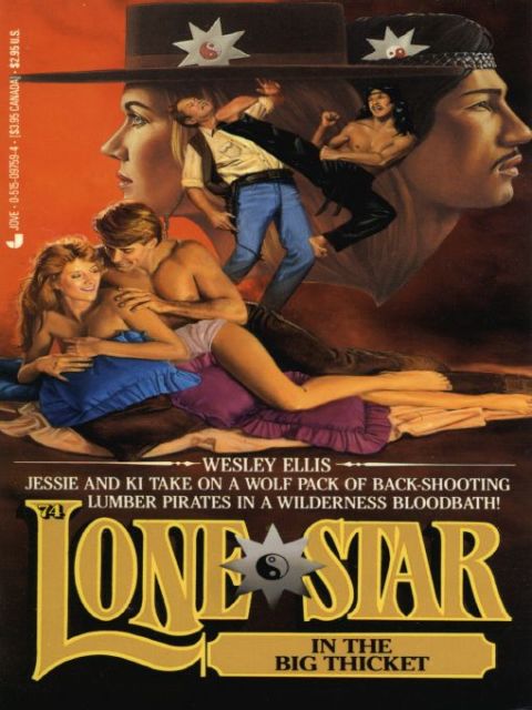Cover image for book Lone Star 74