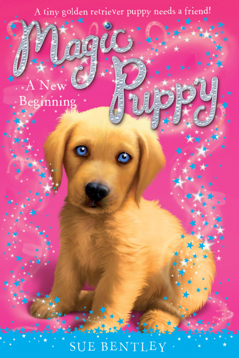 Cover image for book A New Beginning #1