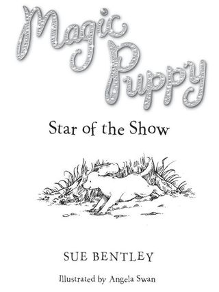 Star of the Show