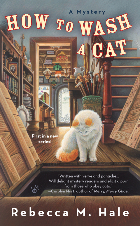 Cover image for book How to Wash a Cat