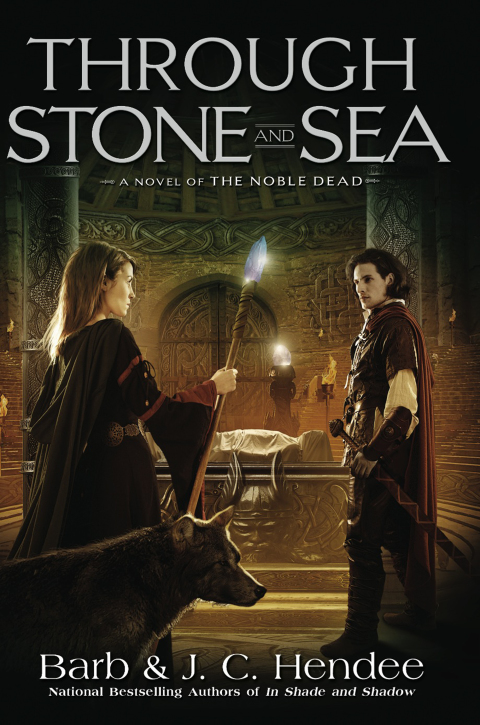 Cover image for book Through Stone and Sea