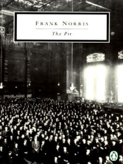 Cover image for book The Pit