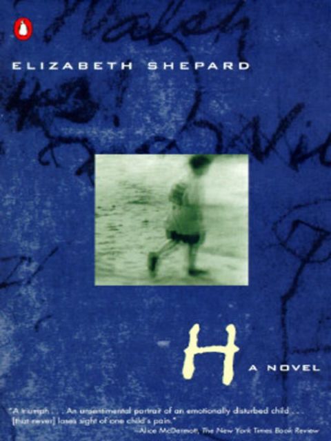 Cover image for book H