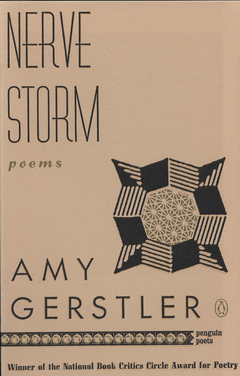 Cover image for book Nerve Storm