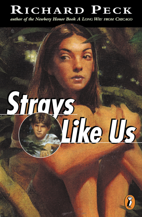 Cover image for book Strays Like Us