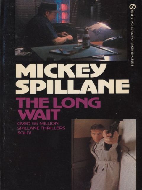 Cover image for book The Long Wait