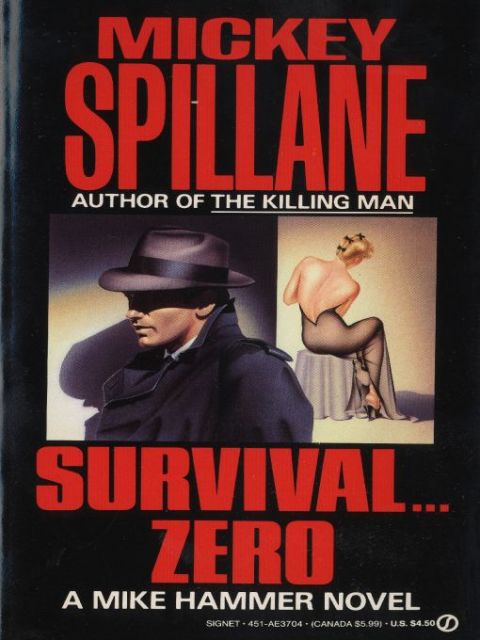 Cover image for book Survival Zero