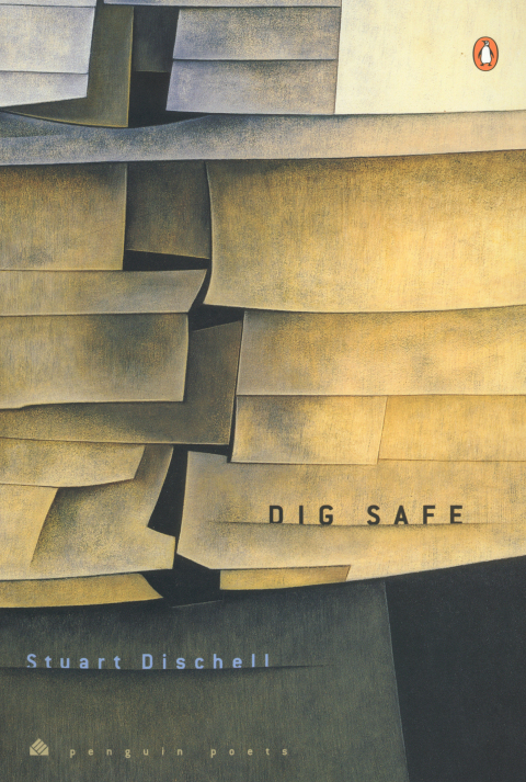 Cover image for book Dig Safe