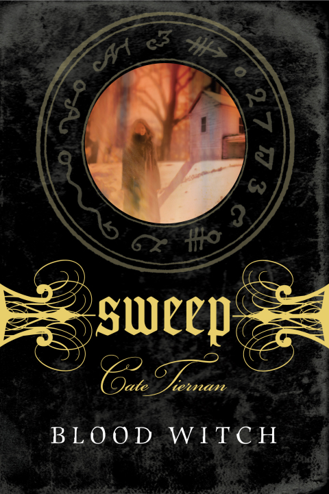 Cover image for book Blood Witch