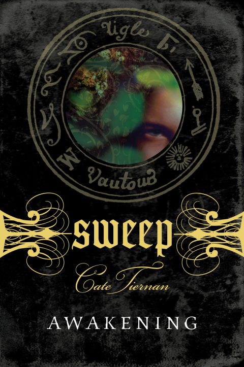 Cover image for book Awakening