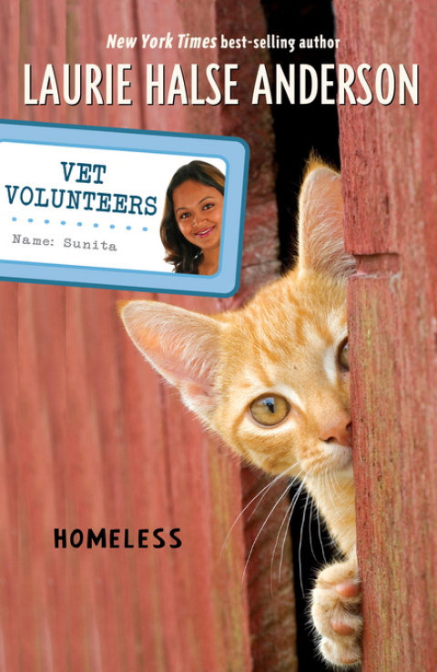 Cover image for book Homeless