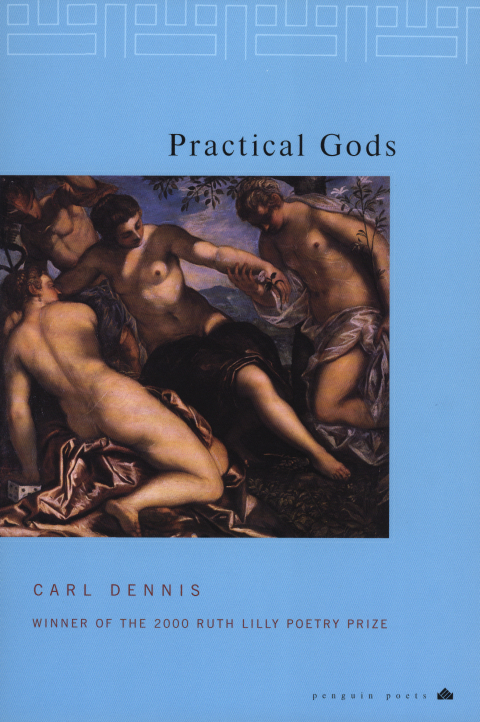 Cover image for book Practical Gods