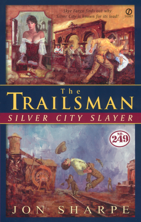 Cover image for book Trailsman #249, The: