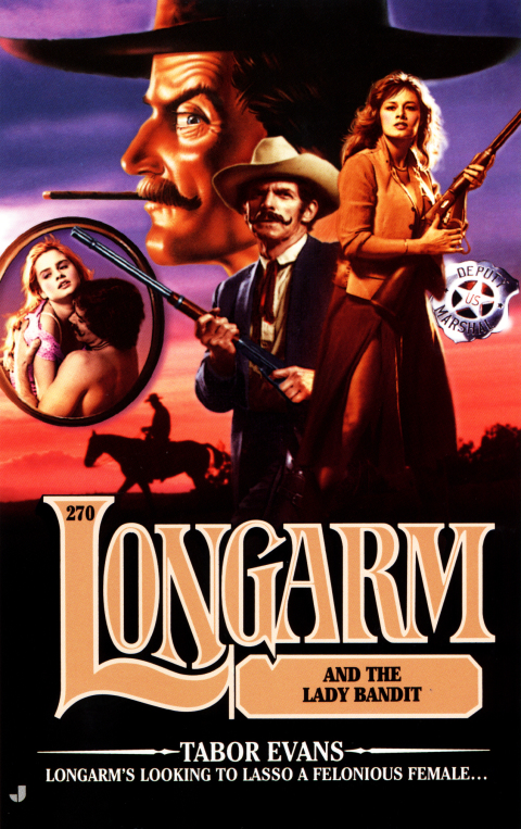 Cover image for book Longarm 270: Longarm and the Lady Bandit