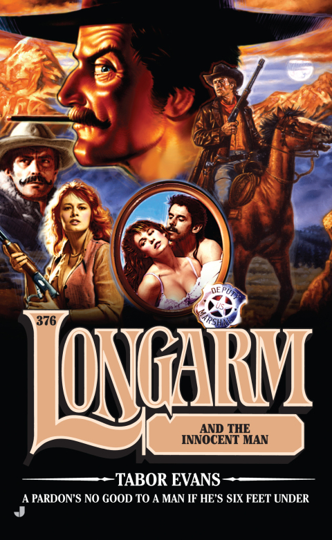 Cover image for book Longarm 376
