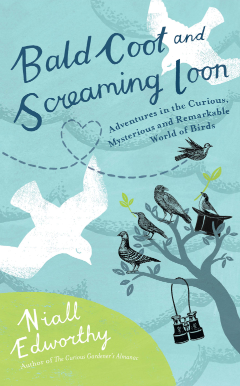 Cover image for book Bald Coot and Screaming Loon