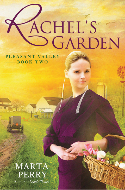 Cover image for book Rachel's Garden