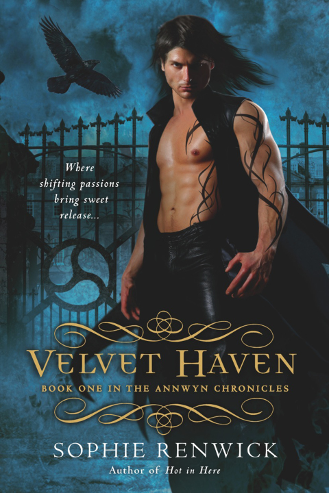 Cover image for book Velvet Haven