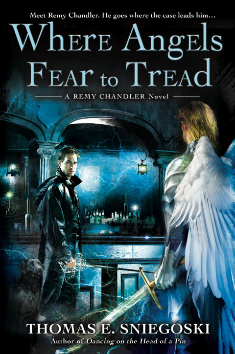 Cover image for book Where Angels Fear to Tread