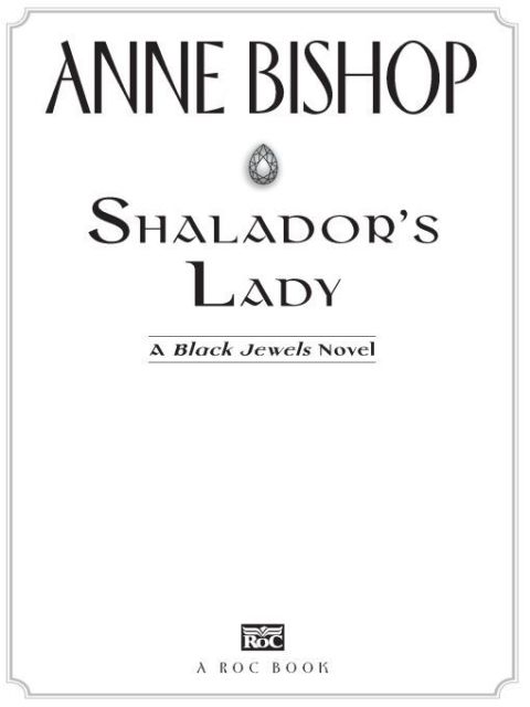 Cover image for book Shalador's Lady