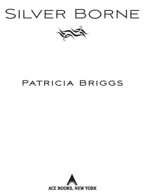 Cover image for book Silver Borne
