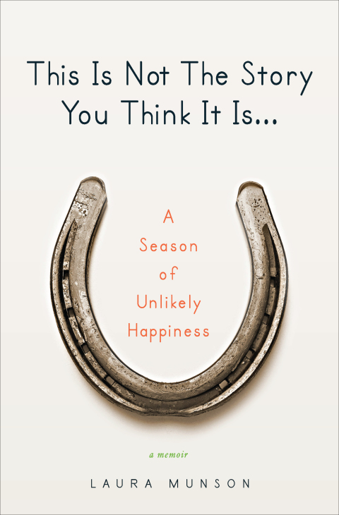 Cover image for book This Is Not the Story You Think It Is...