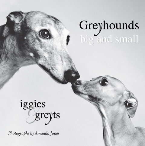 Cover image for book Greyhounds Big and Small