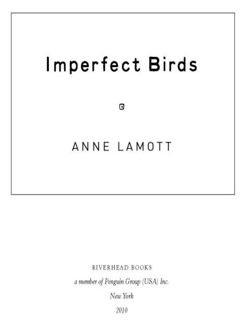 Cover image for book Imperfect Birds