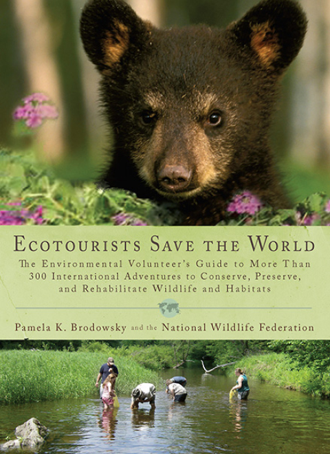 Cover image for book Ecotourists Save the World