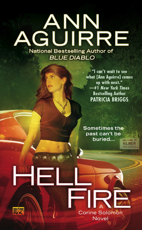 Cover image for book Hell Fire