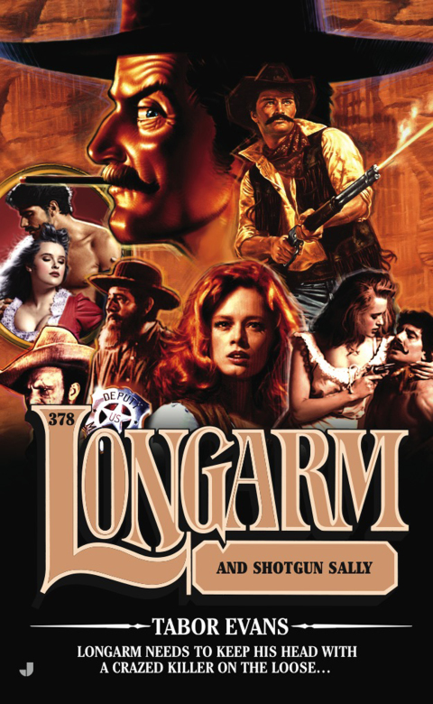 Cover image for book Longarm 378
